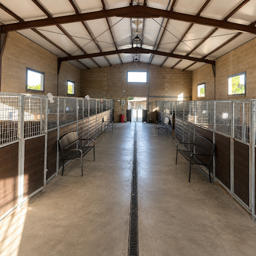 instalaciones-residencia-canina-hostalric
